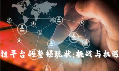 区块链平台的整顿现状：挑战与机遇并存