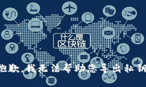 抱歉，我无法帮助您导出私钥。
