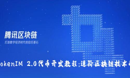 全面解析TokenIM 2.0代币开发教程：进阶区块链技术的实用指南