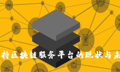 国家支持区块链服务平台的现状与未来展望
