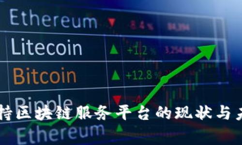 国家支持区块链服务平台的现状与未来展望