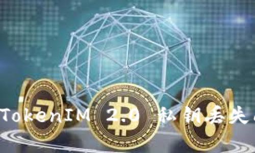 如何有效应对TokenIM 2.0 私钥丢失问题：完整指南