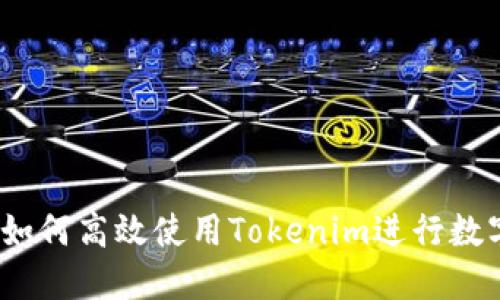 新手指南：如何高效使用Tokenim进行数字资产管理