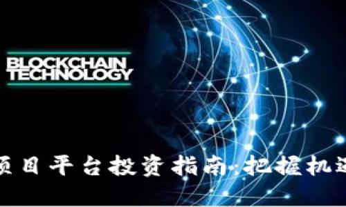 区块链项目平台投资指南：把握机遇与风险