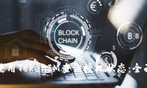 如何使用TokenIM查询授权状态：全面指南