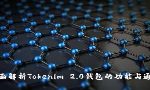 全面解析Tokenim 2.0钱包的功能与通道