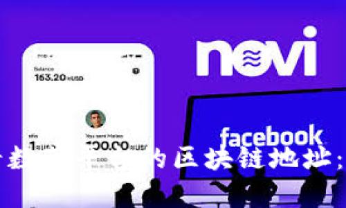 如何查看数藏平台的区块链地址：完整指南