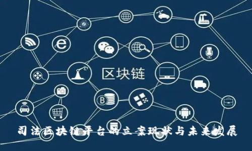 司法区块链平台的立案现状与未来发展