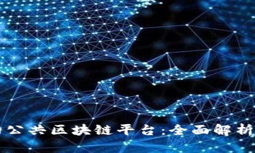 智能合约的公共区块链平台：全面解析与应用前景
