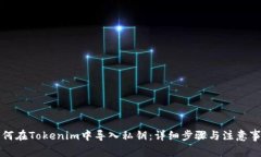 如何在Tokenim中导入私钥：详细步骤与注意事项