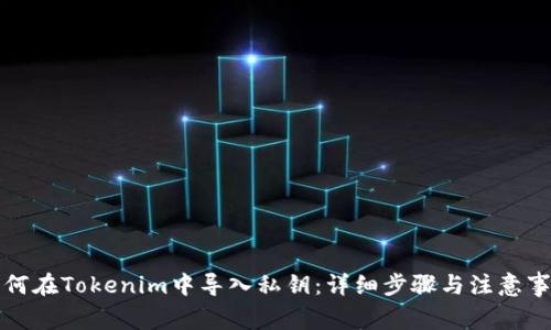 如何在Tokenim中导入私钥：详细步骤与注意事项