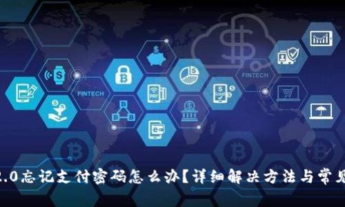 Tokenim2.0忘记支付密码怎么办？详细解决方法与常见问题解答