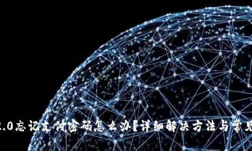 Tokenim2.0忘记支付密码怎么办？详细解决方法与常见问题解答
