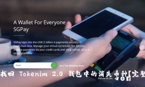 如何找回 Tokenim 2.0 钱包中的消失币种？完整指南