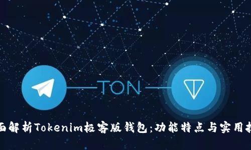 全面解析Tokenim极客版钱包：功能特点与实用技巧