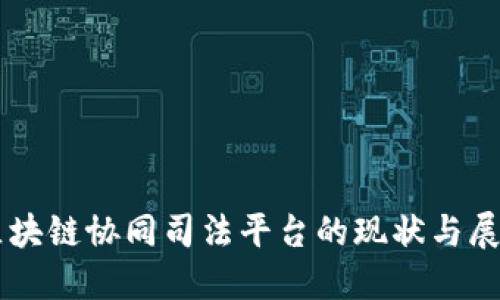 区块链协同司法平台的现状与展望