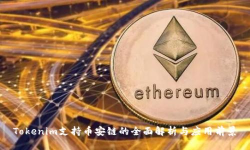 Tokenim支持币安链的全面解析与应用前景