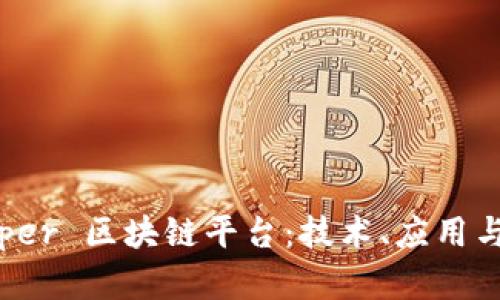 探索 Zipper 区块链平台：技术、应用与未来展望
