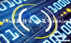 关于“SHIB可以放入Tokenim吗”的问题，首先我们需