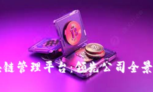 区块链管理平台：领先公司全景解析