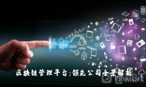 区块链管理平台：领先公司全景解析