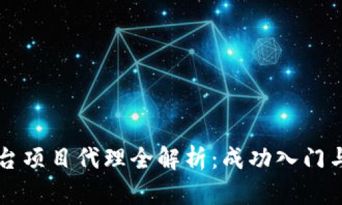 区块链平台项目代理全解析：成功入门与实操指南