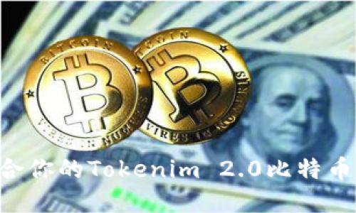 如何选择最适合你的Tokenim 2.0比特币钱包：全面指南