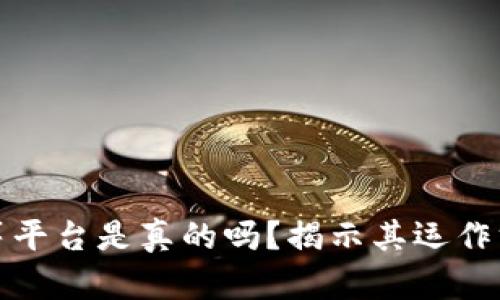 区块链众筹平台是真的吗？揭示其运作方式及风险