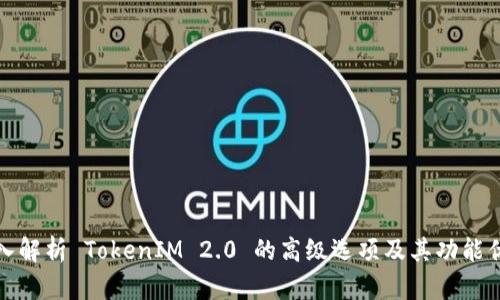 深入解析 TokenIM 2.0 的高级选项及其功能优势