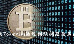 如何解决Tokenim延迟到账问题及其原因解析