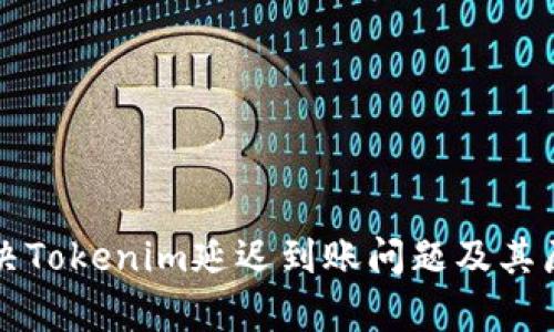 如何解决Tokenim延迟到账问题及其原因解析