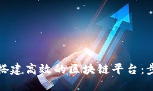 如何在瑞安区搭建高效的区块链平台：步骤与实用建议