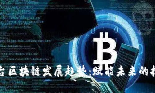 数字平台区块链发展趋势：赋能未来的技术变革