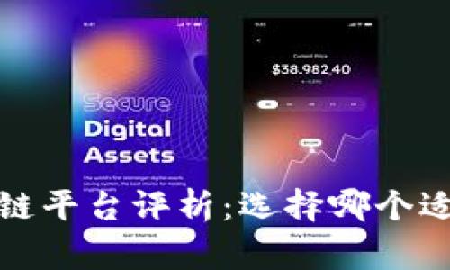 国家级区块链平台评析：选择哪个适合你的业务