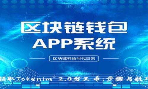 如何领取Tokenim 2.0分叉币：步骤与技巧解析