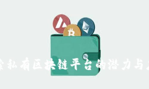 探索私有区块链平台的潜力与应用
