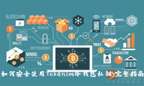 如何安全使用Tokenim冷钱包私钥：完整指南