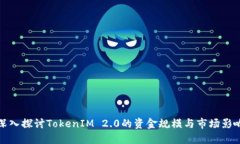 深入探讨TokenIM 2.0的资金规模与市场影响