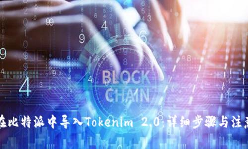 如何在比特派中导入Tokenim 2.0：详细步骤与注意事项