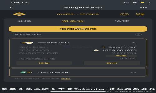 如何在苹果系统上安全下载Tokenim：详细指南与注意事项