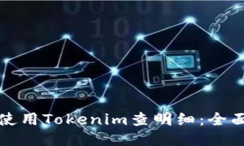 如何使用Tokenim查明细：全面指南