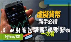 Tokenim 2.0 映射钱包骗局：揭露真相与保护策略