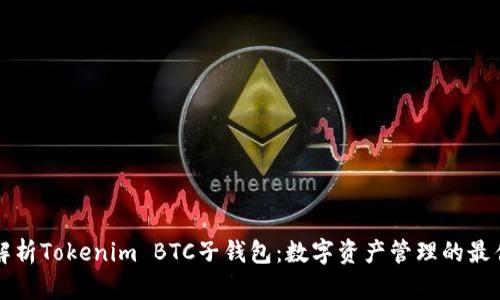 深入解析Tokenim BTC子钱包：数字资产管理的最佳实践