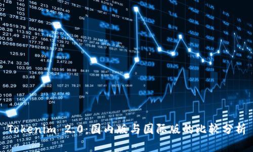 Tokenim 2.0：国内版与国际版的比较分析