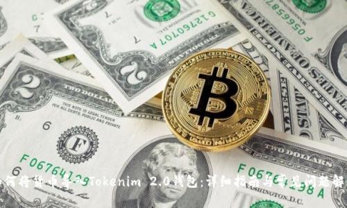如何将货币导入Tokenim 2.0钱包：详细指南与常见问题解答