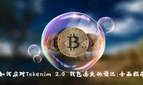 如何应对Tokenim 2.0 钱包丢失的情况：全面指南