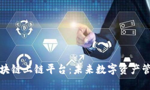 深入探索区块链上链平台：未来数字资产管理的新趋势