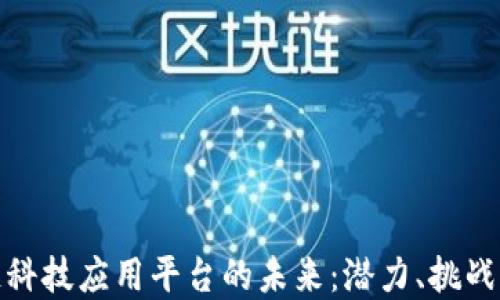 
探索区块链科技应用平台的未来：潜力、挑战与发展趋势