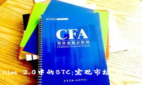 深入解析Tokenim 2.0中的BTC：宏观市场、项目背景与投资机会