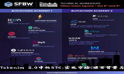 深入解析Tokenim 2.0中的BTC：宏观市场、项目背景与投资机会